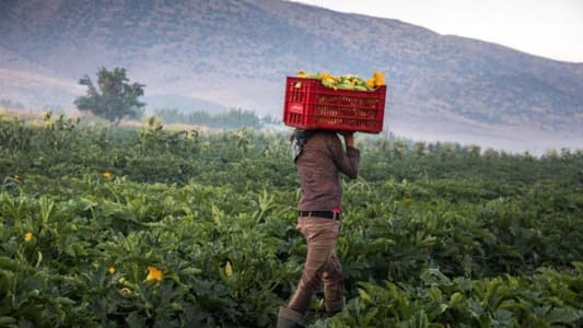 "مافيا المحروقات" تبتزّ المزارعين؟!