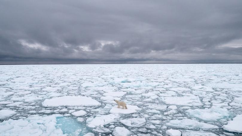 Scientists Stunned by Rare Arctic Lightning Storms North of Alaska