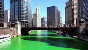 نهرٌ يتحوّل إلى لوحةٍ خضراء