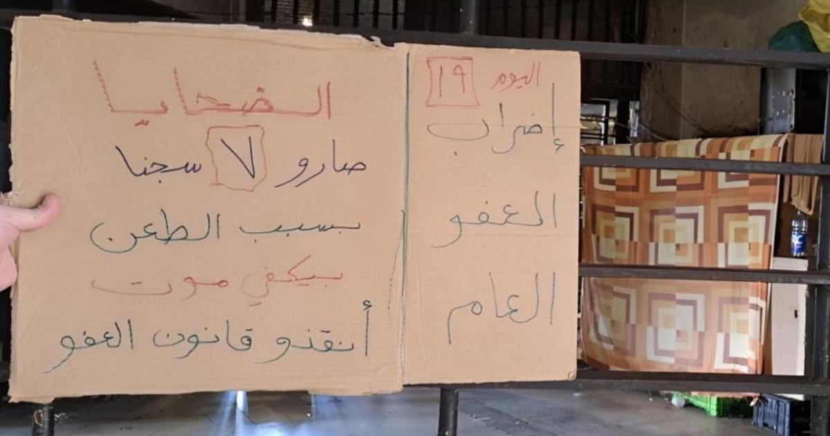صورة الخبر