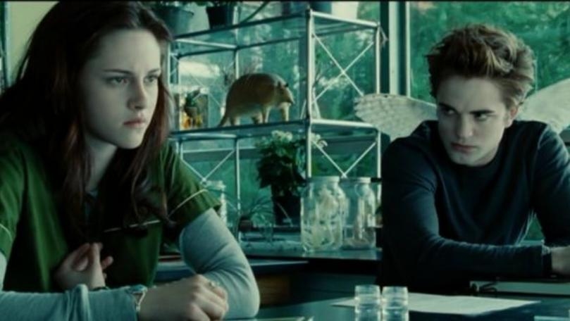 'Twilight' Investor Sentenced to Five Years Prison in Fraud Case