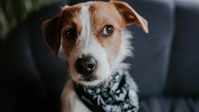 Main Highlight Image