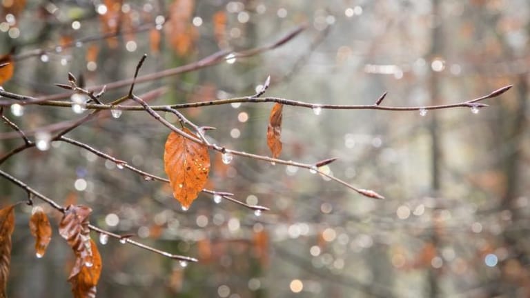 رحّبوا بالخريف: أمطار ورياح.. وتحذير من تطاير اللوحات!