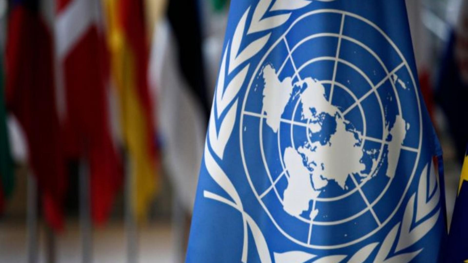 The UN draft resolution on Gaza: We demand that Israel end the blockade, reject any obstruction of aid delivery, and condemn the use of hunger as a weapon in the war, according to the UN draft resolution on Gaza