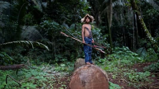 Tracts of Amazon Rainforest Stolen from Indigenous Tribes Are Up for Sale on Facebook