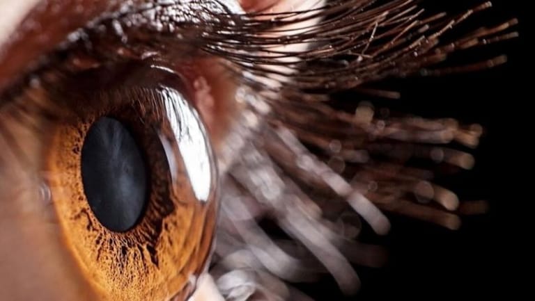 بؤبؤ العين يمكنه الكشف عن مدى ذكاء صاحبه
