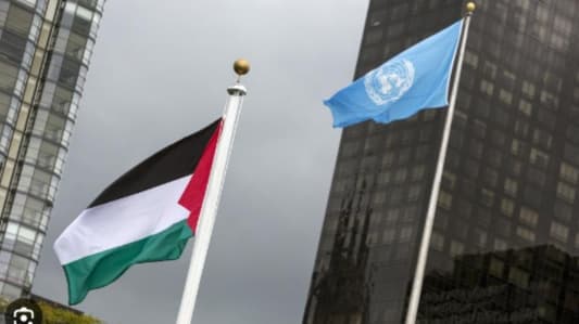 Palestine's delegate to the United Nations: We repeatedly warned of Israel's actions and the international community did not act