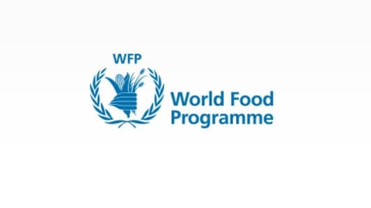 Director of the WFP: We have suspended our aid through the US-built pier due to concerns about safety amid the latest Israeli assaults on Gaza