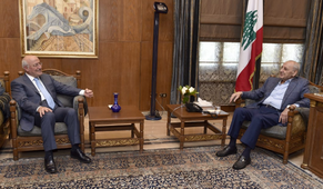 Berri holds series of meetings at Ain El-Tineh