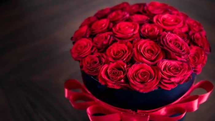 يا ورد مين يشتريك!