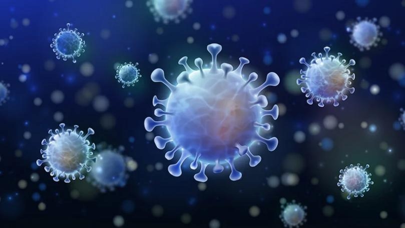 Main Highlight Image