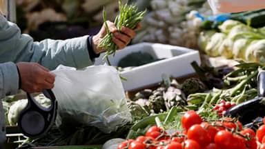 بحصلي وفهد ينفيان ما أورده برنامج الغذاء العالمي: المخزون يكفي لـ3 أشهر