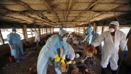 الهند تُعلن عن أول وفاة بإنفلونزا الطيور