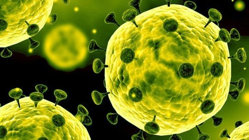 Lebanon registers 2,479 new Covid infections, 60 new deaths