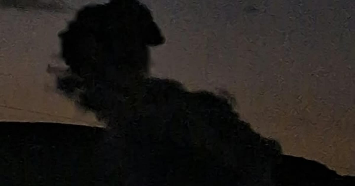 صورة الخبر