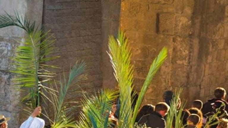 هل تُمطر أحد الشعانين؟