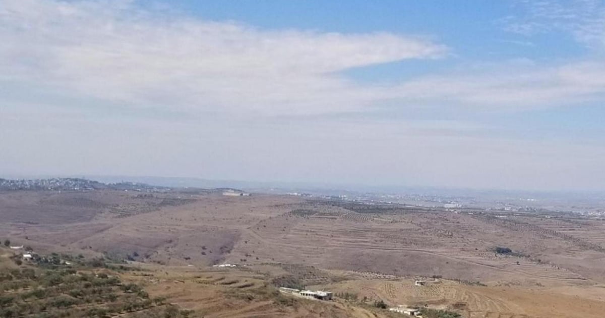 صورة الخبر
