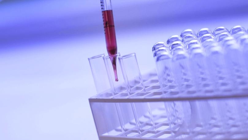 Scientists Develop Synthetic ‘Blood’ to Attract and Kill Malaria-Carrying Mosquitoes
