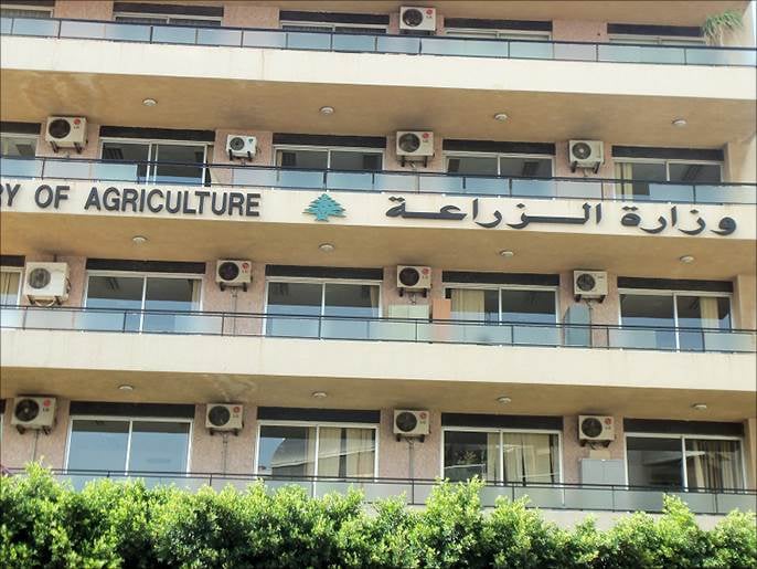صورة الخبر
