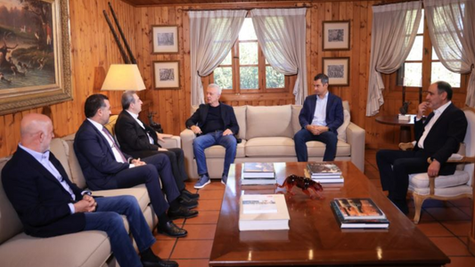 Abou Faour, Saad discuss with Sleiman Franjieh ways of rescue