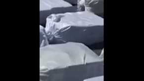 بالفيديو: ضبط كمية كبيرة من المخدّرات في شحنة موز