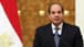 Egyptian President: We are working to achieve a ceasefire in Gaza and secure the establishment of a Palestinian state