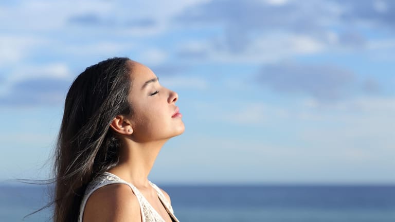 This is how air pollution reaches the heart and brain