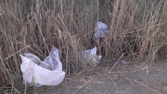 بالفيديو: جريمة بيئيّة على ضفة الليطاني