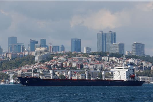 First Ukraine ship under grain deal will not dock in Lebanon on time