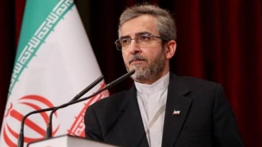 Acting Iranian Foreign Minister Ali Bagheri: All resistance movements make their decisions and act independently within their geographic unity
