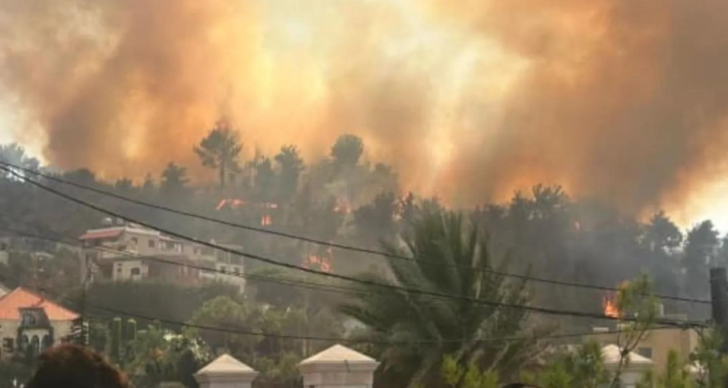 الحرائق تلتهم أحراج لبنان... إبادة بيئية وإهمال وقدرات محدودة