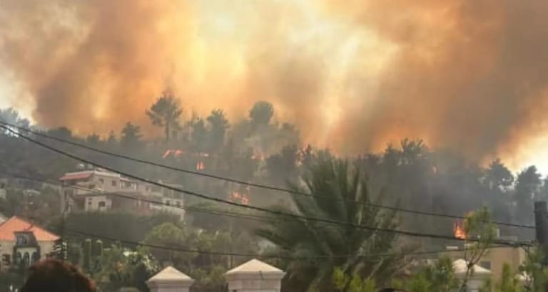 الحرائق تلتهم أحراج لبنان... إبادة بيئية وإهمال وقدرات محدودة