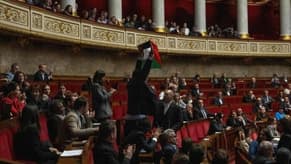 French parliament session halted after MP waves Palestinian flag