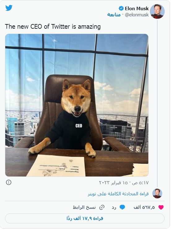 إيلون ماسك يعين كلبًا رئيسًا تنفيذيًا لـ "تويتر"