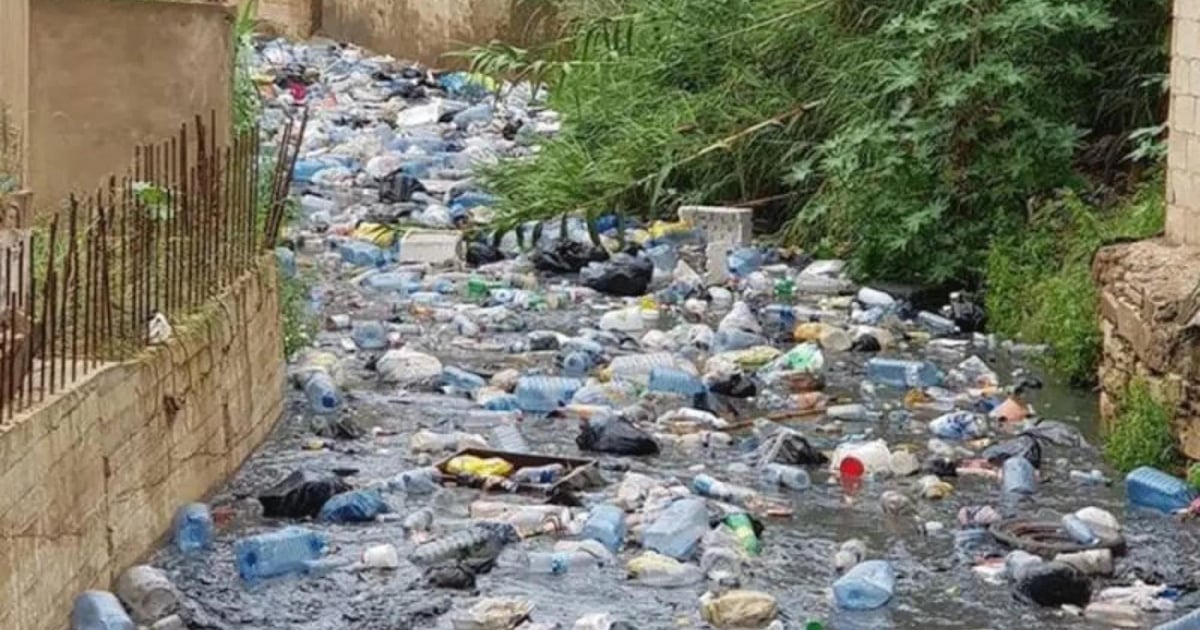 صورة الخبر