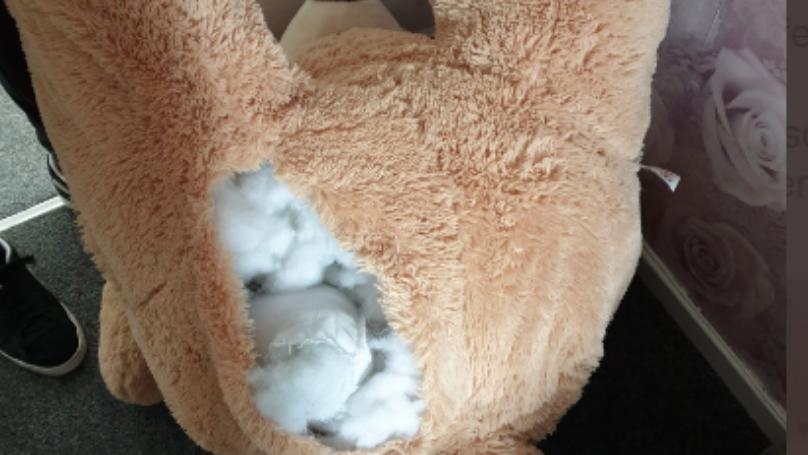 بالصّور: الشرطة تعتقل دمية "دبّ" تتنفس!