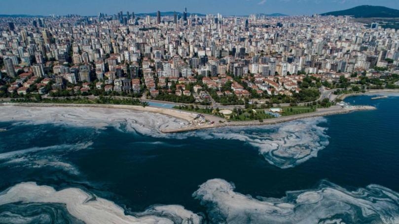 Main Highlight Image