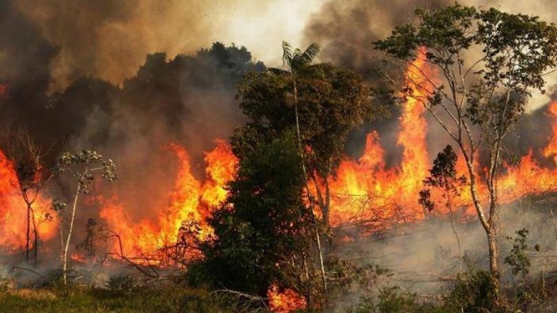 الى متى "الحريق"؟ التفاصيل في النشرة المسائية