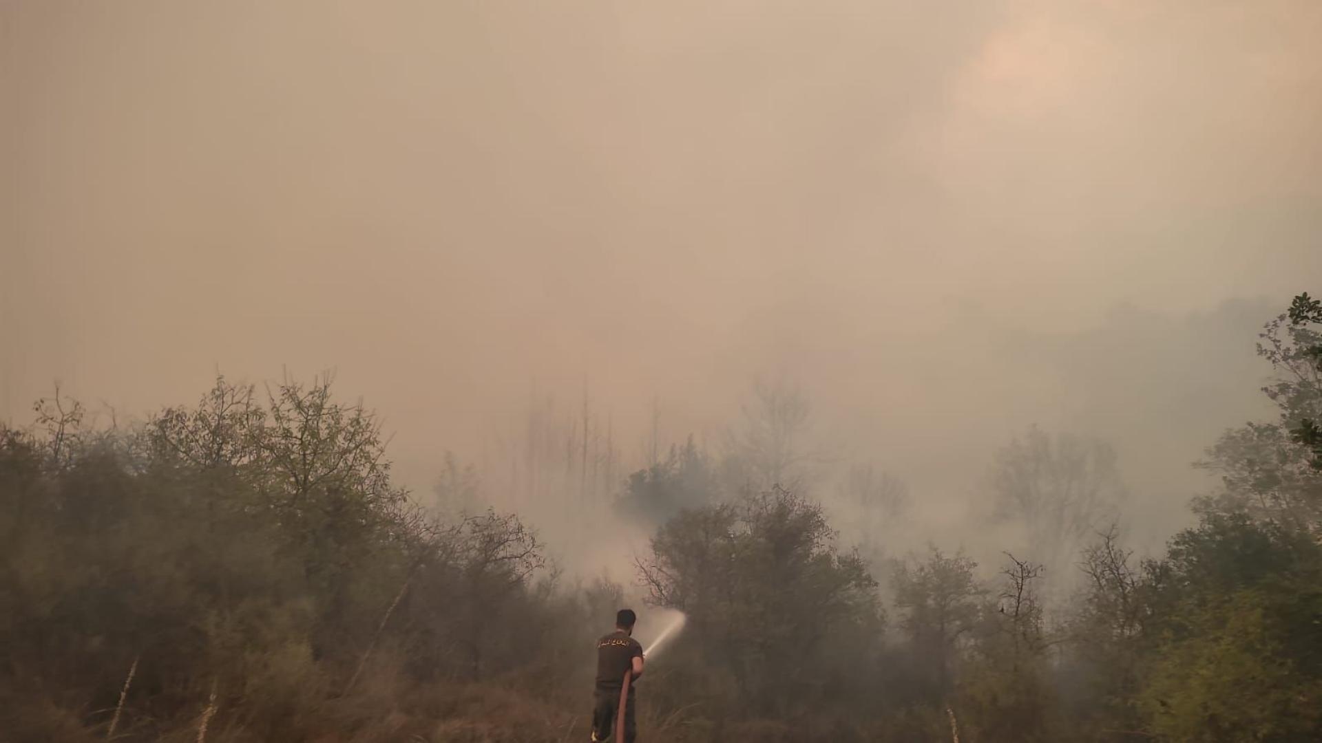 Main Highlight Image