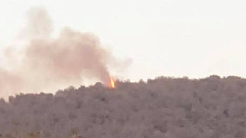 اندلاع حريق في غابة السفيره بالضنيه وهي أكبر غابة صنوبر بري في لبنان والشرق الأوسط