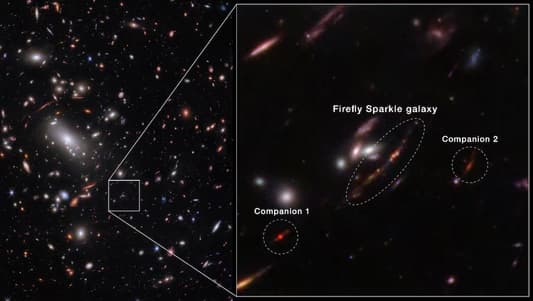 Firefly Sparkle galaxy offers a taste of the infant Milky Way