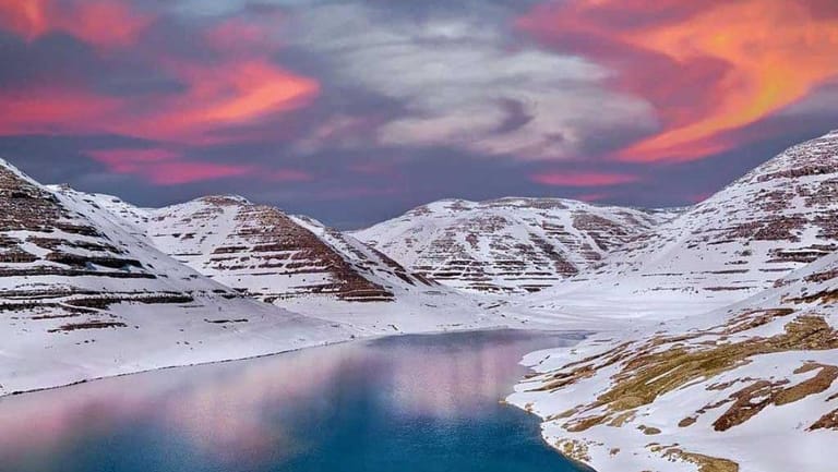 خبران أبيضان... ودعوة للمُغتربين