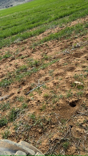 "فأر الحقل" يُحرّك الوزارة