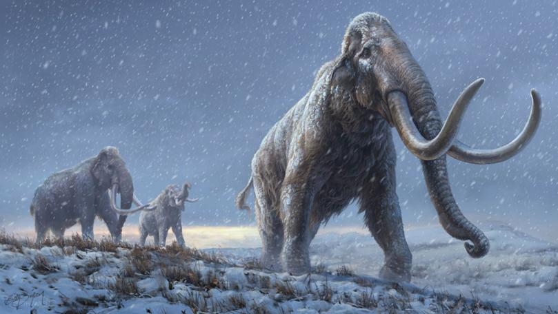 Main Highlight Image