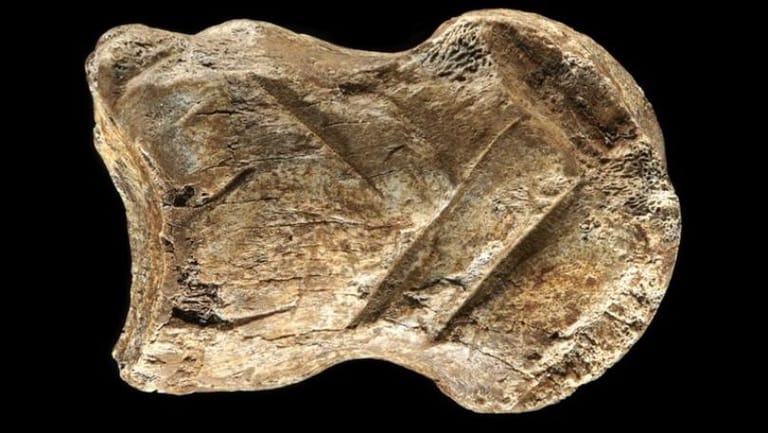 Ancient Bone Carving Could Change the Way We Think About Neanderthals