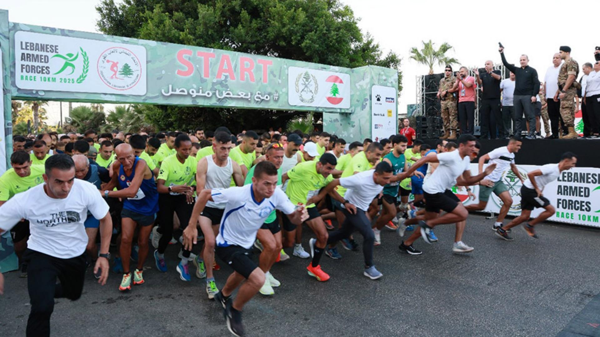 MTV_V7.MtvSixModels.Article