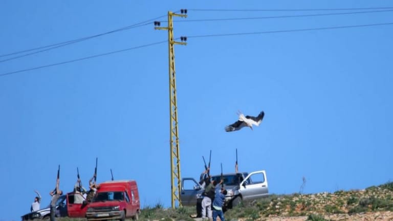 هواية لم تمنعها القوانين وغلاء الخرطوش