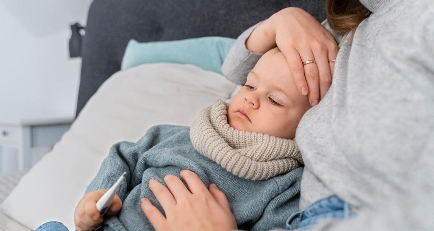 Main Highlight Image