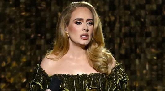 Adele stops Las Vegas show to defend standing fan - MTV Lebanon