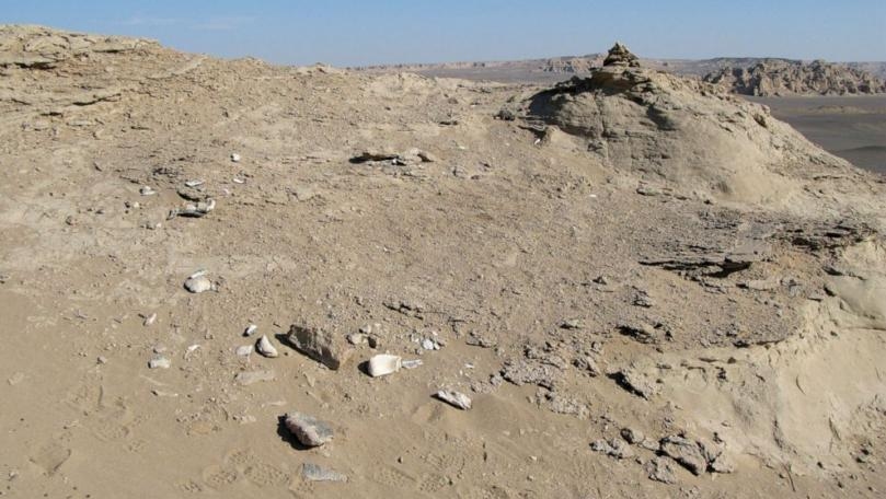 2 New Species of Massive Sauropod Dinosaurs Found in China, a 1st for the Region